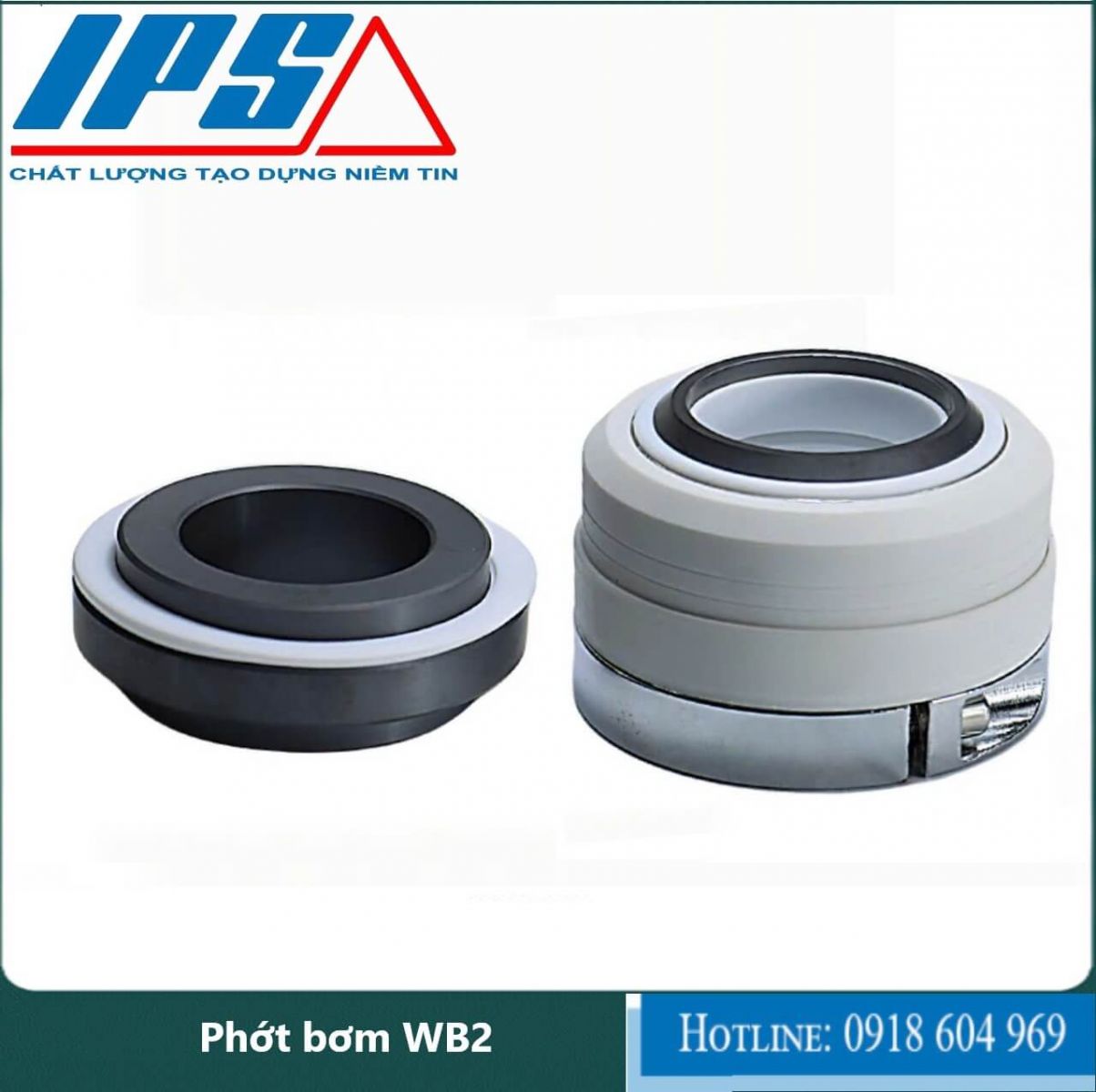 /Phớt bơm WB2-22(2)